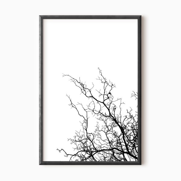 Tree Branches Print | Tree Photography Digital Download    #0052