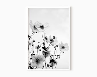 Anemone Print | Black And White Photography | Floral Prints | Flower Photography | Anemone Flower Art   #0115