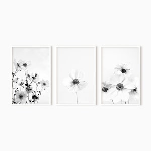 Flower Print Set Of 3 | Printable Floral Wall Art DOWNLOAD    #0500