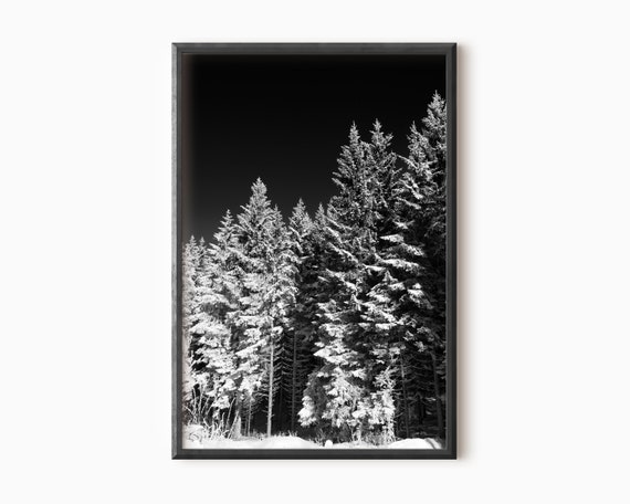 Winter Forest Art Pine Tree Wall Art Downloadable - Etsy