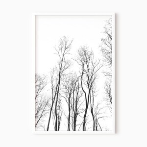 Impression forêt noir et blanc | Art minimaliste | Photographie de forêt | Art d&#39;arbre | Impression paysage - OEUVRE MURALE IMPRIMABLE #0452