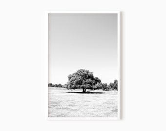 Tree Art Wall Decor | Printable Minimalist Print | Single Tree Print | Instant Download    #0468