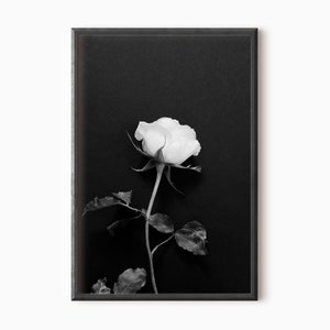 Black And White Rose Photography | Flower Wall Art | Digital Print | Floral Poster | Botanical Print   #0141
