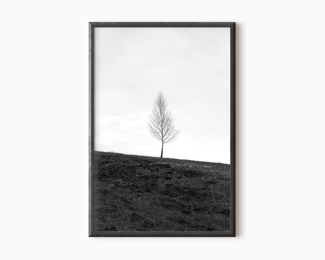 Black and White Tree Print Minimal Photography Digital Download