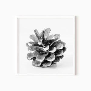 Pine Cone Print | Christmas Gallery Wall Art | Black And White Winter Prints | Farmhouse Holiday Wall Art | Instant Download    #0576