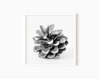 Pine Cone Print | Christmas Gallery Wall Art | Black And White Winter Prints | Farmhouse Holiday Wall Art | Instant Download    #0576