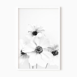 Black And White Flower Print | Printable Anemone Photography DOWNLOAD     #0415