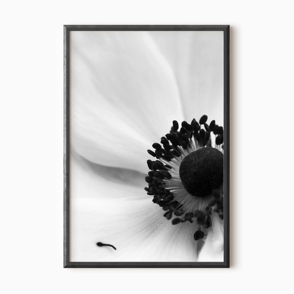 Flower Art Print | Printable Macro Photography DOWNLOAD   #0087