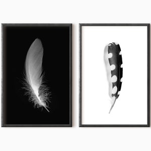 Two Piece Feather Prints | Printable Black And White Wall Art DOWNLOAD   #0162