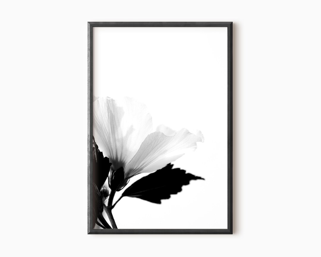 Flower Art Print | Printable Floral Photography | Instant Download ...