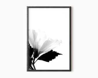 Flower Art Print | Printable Floral Photography | Instant Download    #0168