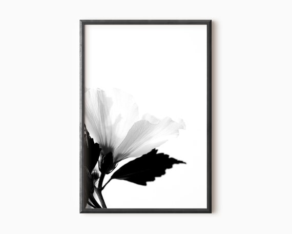 Art Print Flower Photography Black and White Botanical | Etsy