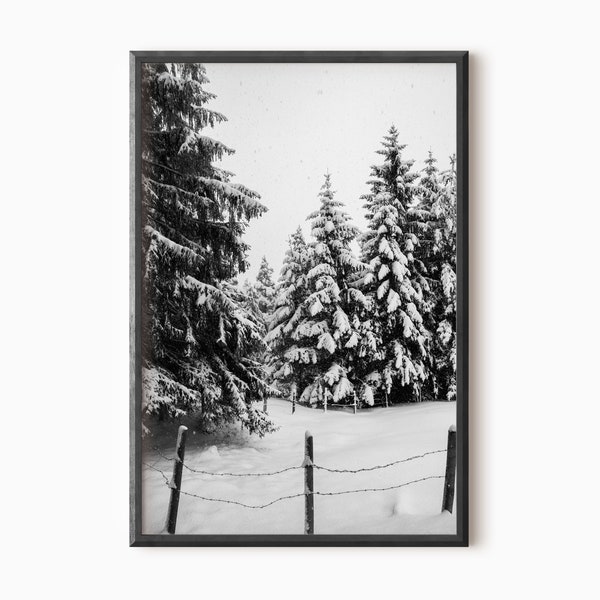 Winter Forest Print | Printable Snowy Forest Photo DOWNLOAD    #0090