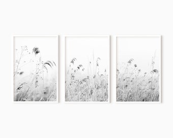 set of 3 prints