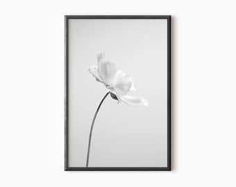 Minimalist Flower Photography | Printable Floral Art | Instant Download     #0449