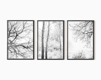 Conjunto de bosque de 3 impresiones / Arte digital de la pared de la naturaleza / Cartel de ramas de árboles desnudos imprimibles / Descarga instantánea #0595