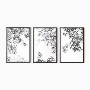 Print 3er Set | Schwarzweiße Baumkunst | Abstrakte Wald Kunst | Digital Druck #0703