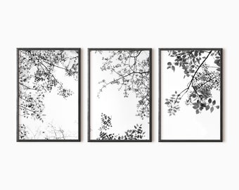 Tree Print Set Of 3 | Black And White Tree Art | Abstract Forest Art | Digital Print   #0703