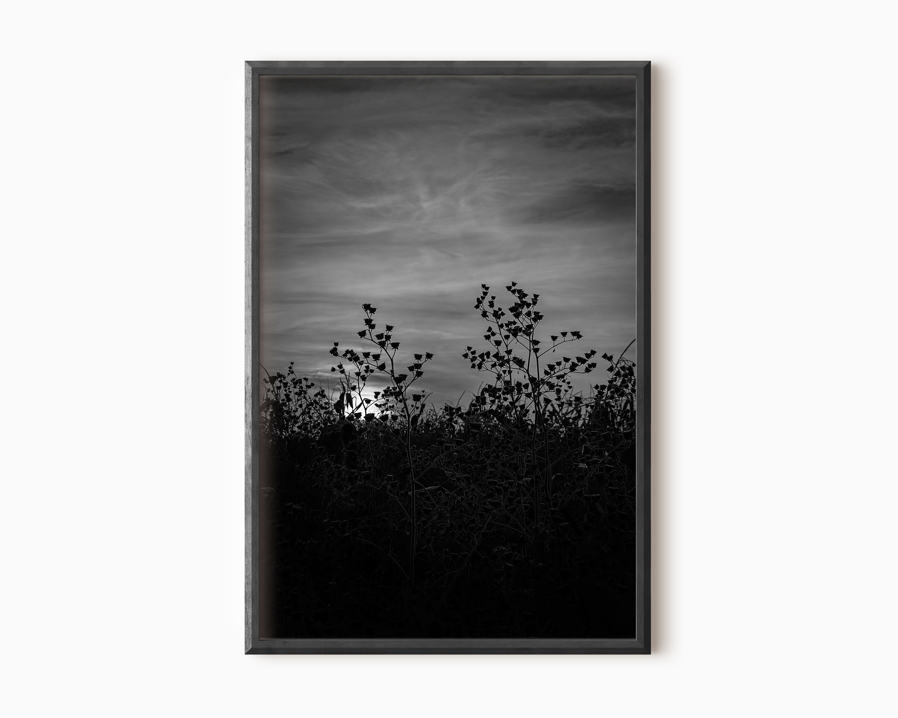 Dark Nature Wall Art Black and White Sunset Print Dark Etsy