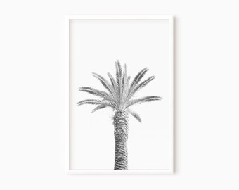 Palm Tree Print | Black And White Beach Prints - PRINTABLE WALL ART   #0715