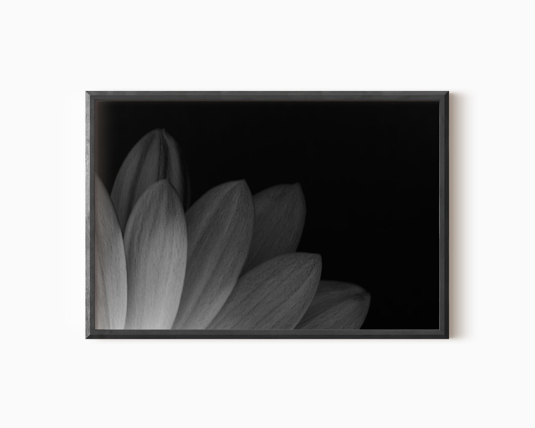 Black and White Floral Art Print Printable DOWNLOAD 0311 - Etsy