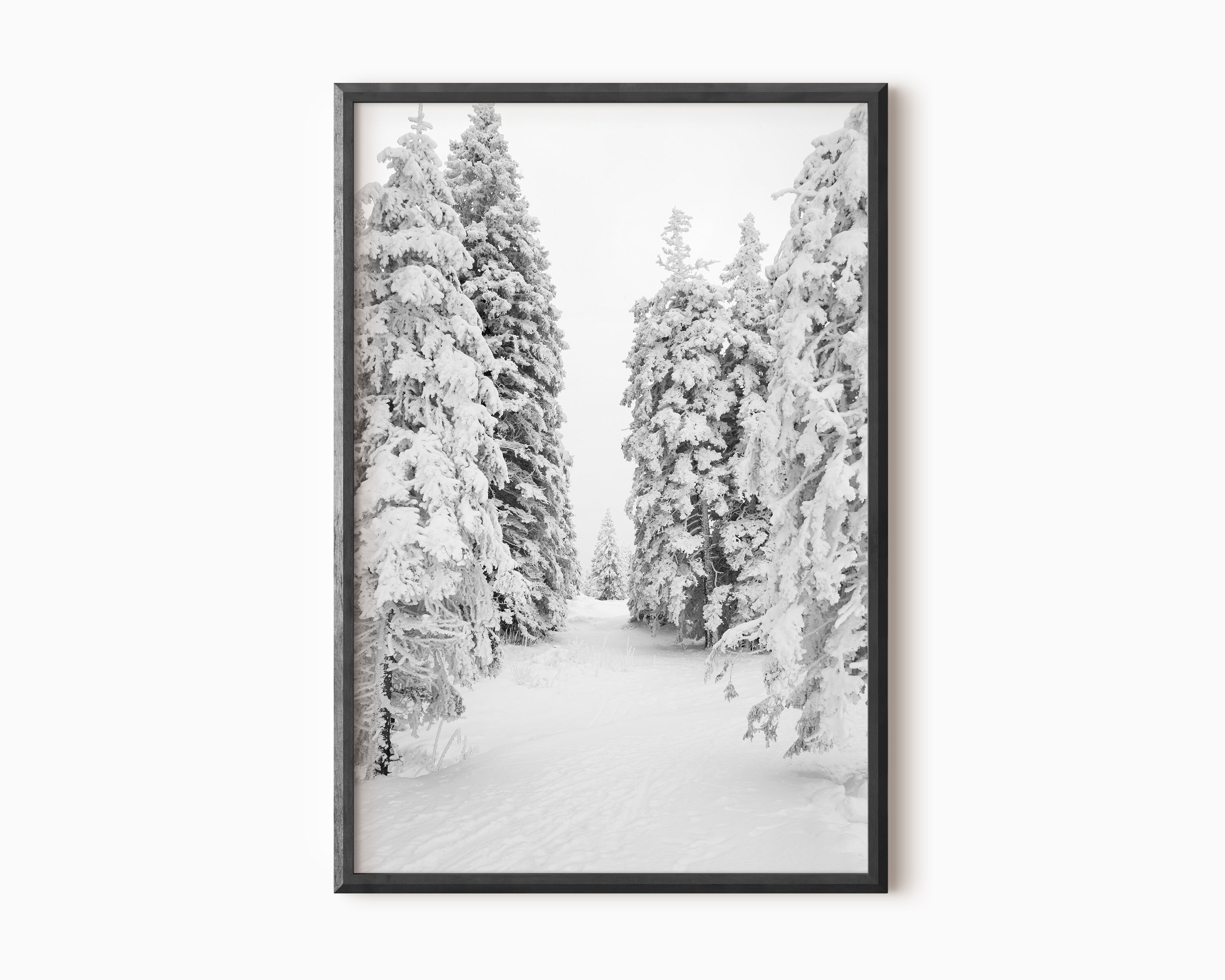 Forest Prints Wilderness Wall Art Nature Prints Printable Art - Etsy