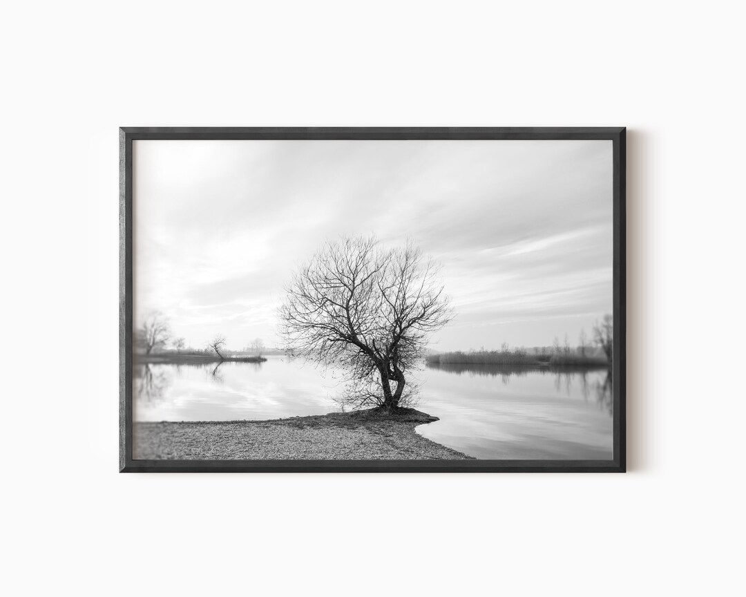 Tree Landscape Print Digital Lake Photography Instant Download 0150 Etsy