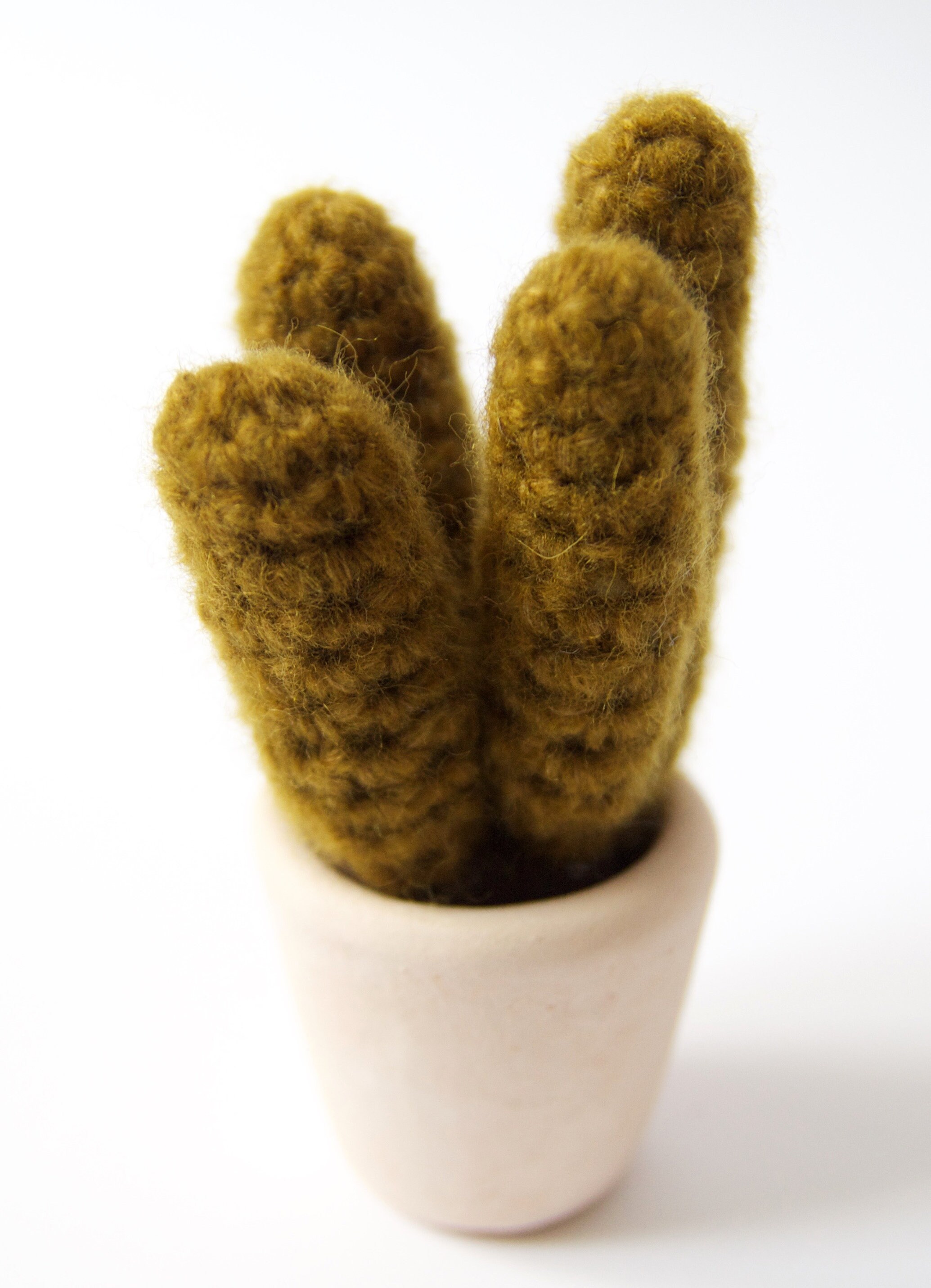 Cactus Au Crochet et Son Pot en Grès