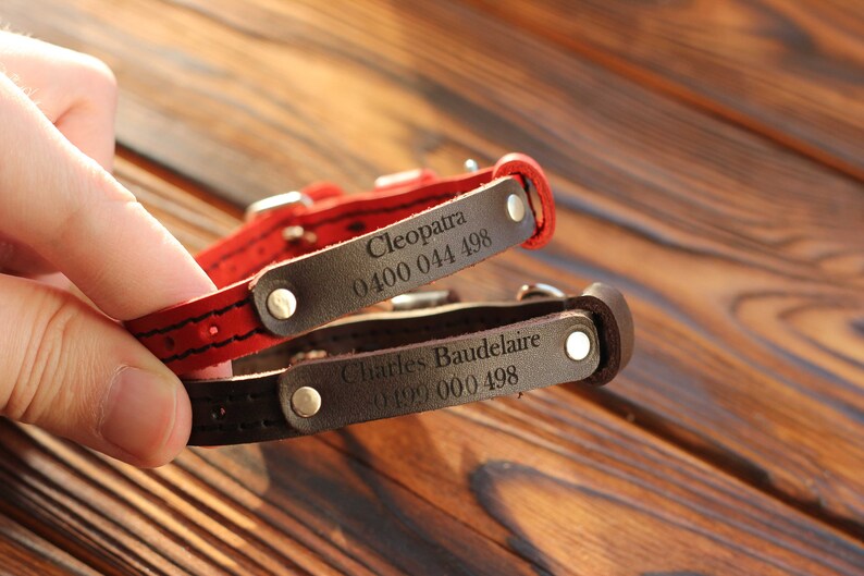 Personalized Leather Cat Collar Luxury Durable Name Plate Etsy