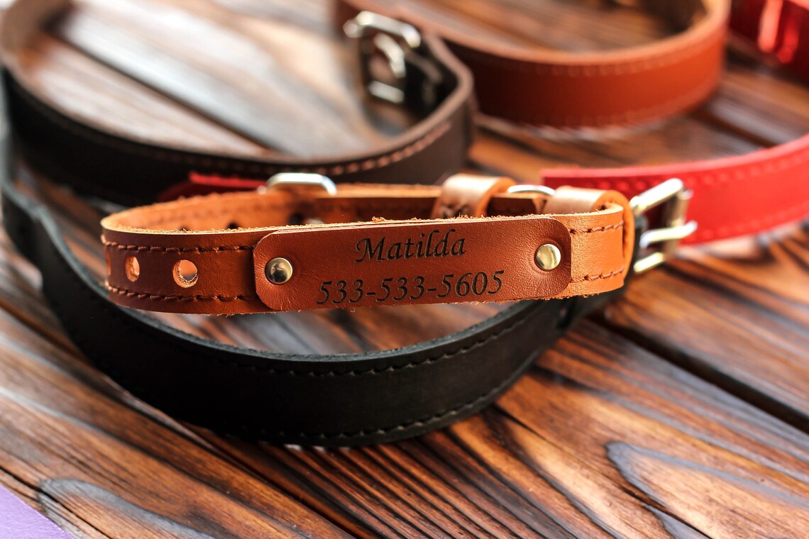 Personalized Leather Cat Collar Luxury Durable Name Plate Etsy