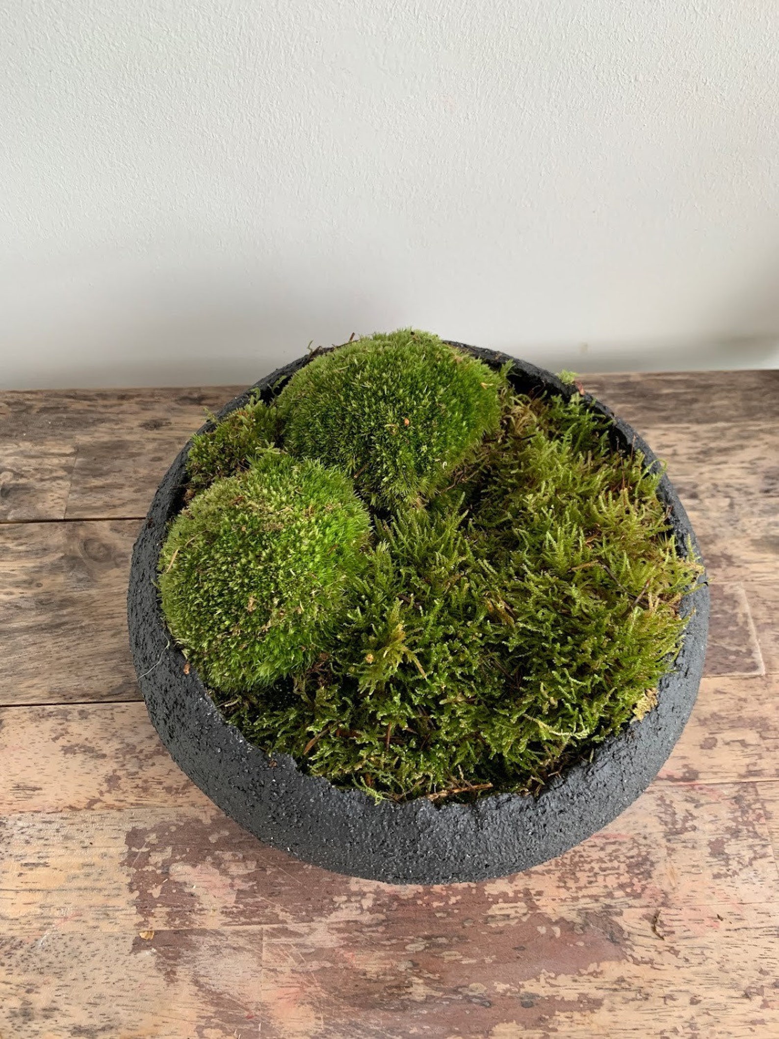 Moss bowl large large moss garden planter succulent Etsy