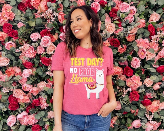 Test Day No Prob Llama Funny Vintage Teacher T-Shirt Test Day No Prob Llama Funny Vintage Teacher T-Shirt