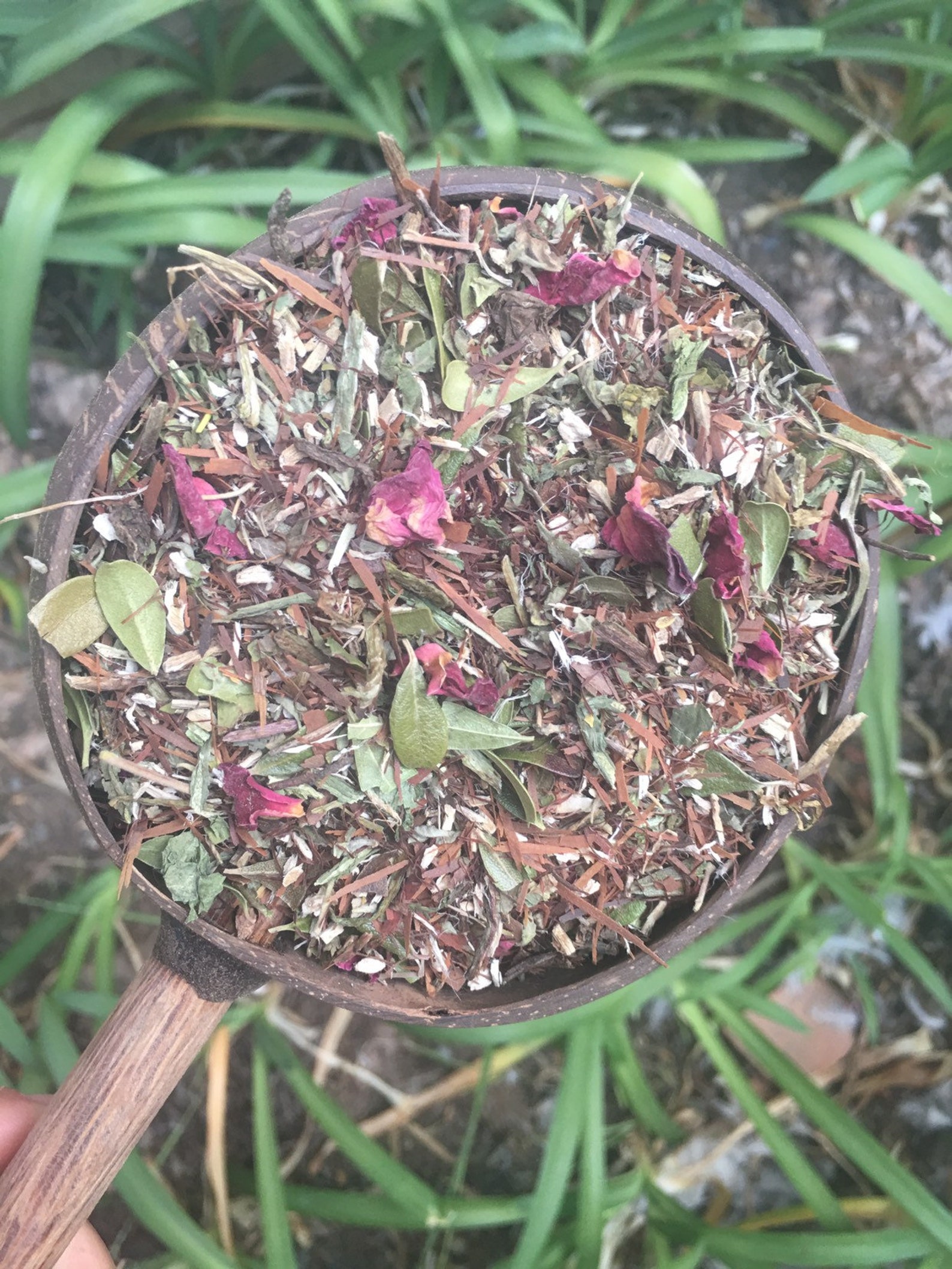 Yoni Steam UTI Yeast Infection Cleansing Herbs Womb Etsy