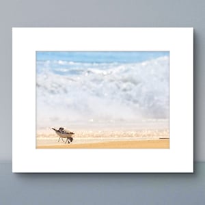 Sand Piper Way