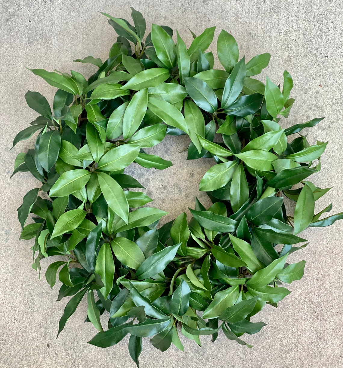 Artificial Laurel Leaf Wreath/ Classic Laurel Wreath/ Everyday Etsy