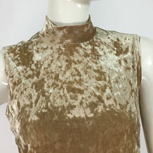 May include: A sleeveless mock neck top made of crushed velvet in a light brown color.