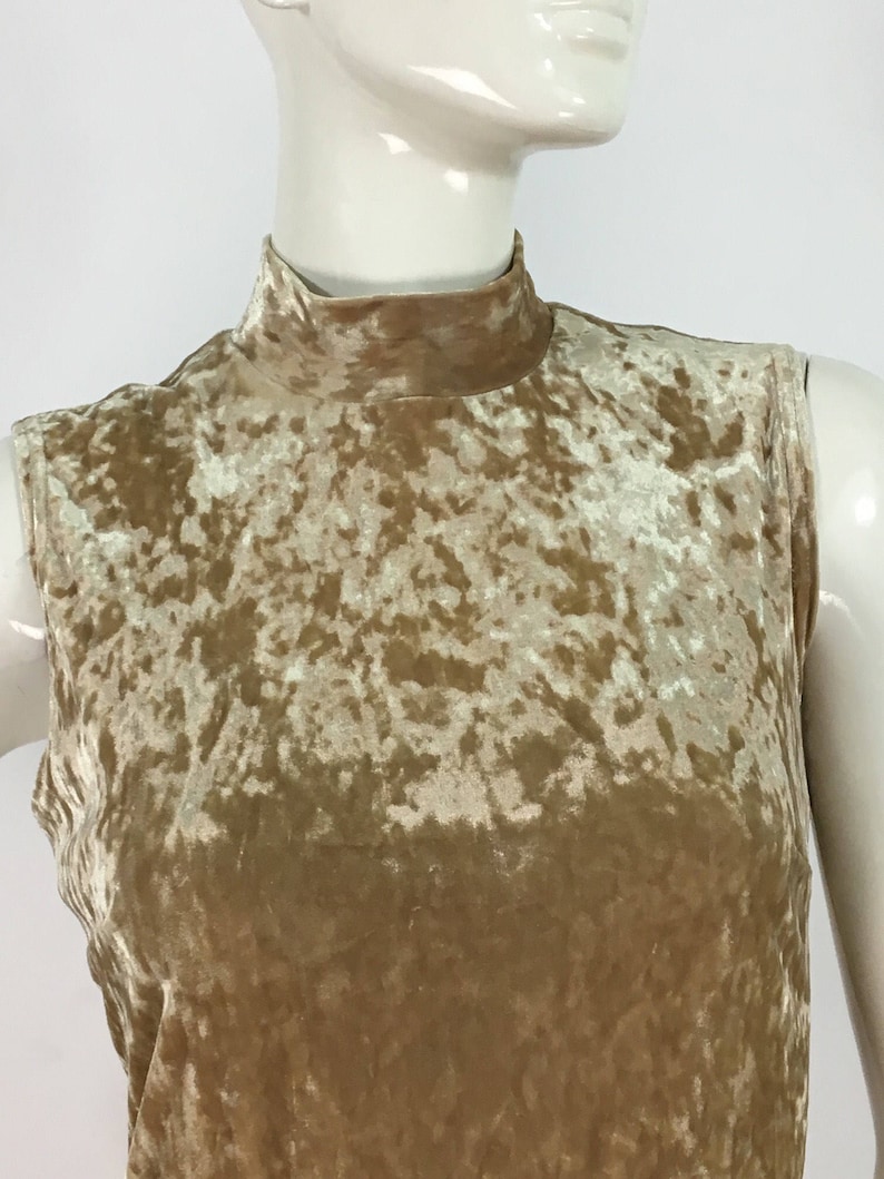 May include: A sleeveless mock neck top made of crushed velvet in a light brown color.