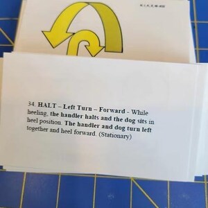 AKC Rally Flash Card Digital File Download - Etsy
