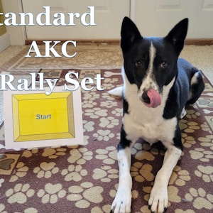 AKC Rally INTERMEDIATE/ADVANCE Add-On Set