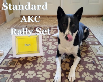 AKC Rally INTERMEDIATE/ADVANCE Add-On Set