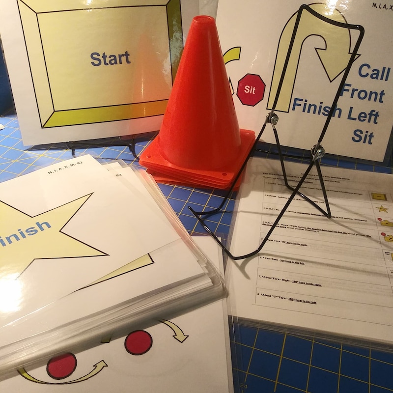 Novice Signs Rally Novice Signs - Etsy