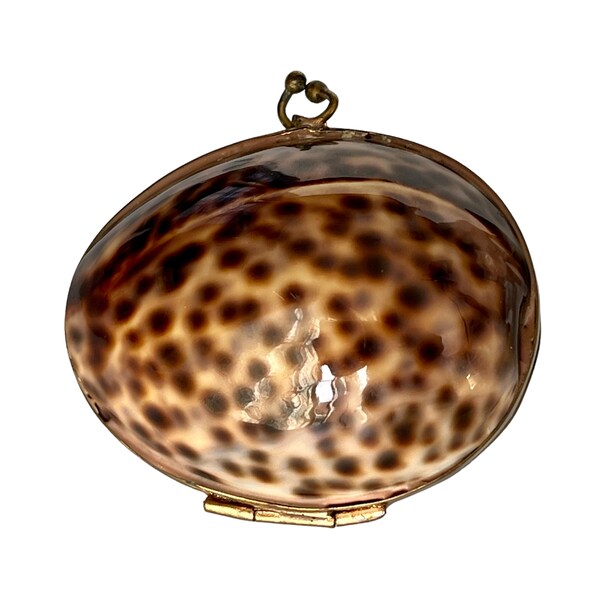 Shell Coin Purse - Heron's Loft Swag
