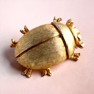 Vintage sterling zilveren vergulde keverbroche – Miniatuur insectensieraad