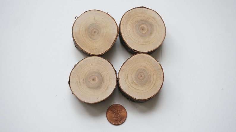 housewarming gift wood slice art fridge magnet cherry tree slab decorative refrigerator magnets set of 4 farmhouse decor