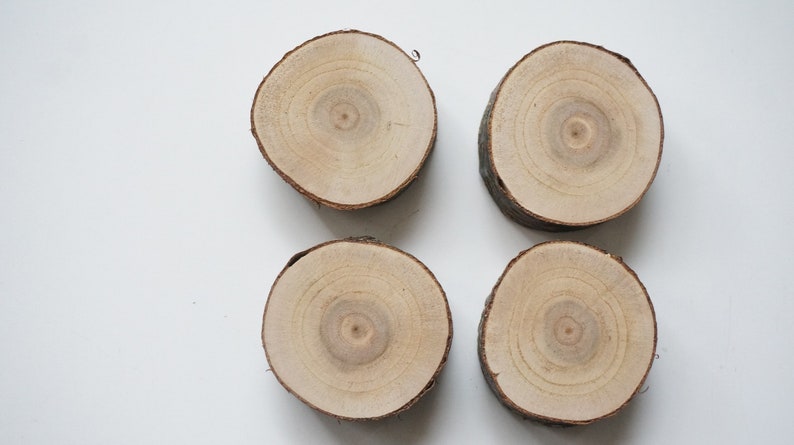 housewarming gift wood slice art fridge magnet cherry tree slab decorative refrigerator magnets set of 4 farmhouse decor