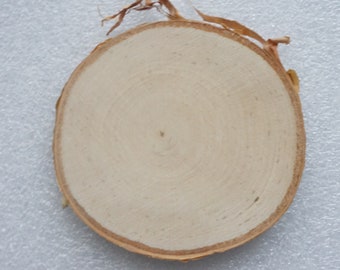 Made to order 100 Birch 2 - 3 in wood slices blank sanded, wooden wedding favors, bulk tree slab ornaments, log discs, pyrography supplies
