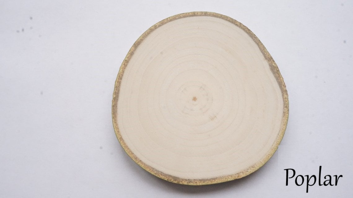 Wood Slices, Wood Slabs, Log Slices 9 to 10 diameter x 1 thick Kiln Dried &  Sanded, Woodland Decor, Wedding Centerpieces.