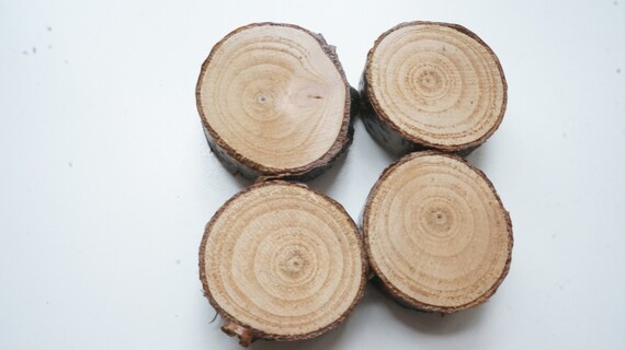 Small Cherry Wood Slice Decorative Refrigerator Magnets Set Of 4 Housewarming Gift Farmhouse Decor Fridge Magnet