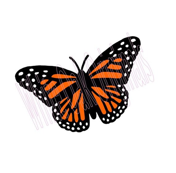 Free Free Butterfly Svg Etsy 599 SVG PNG EPS DXF File