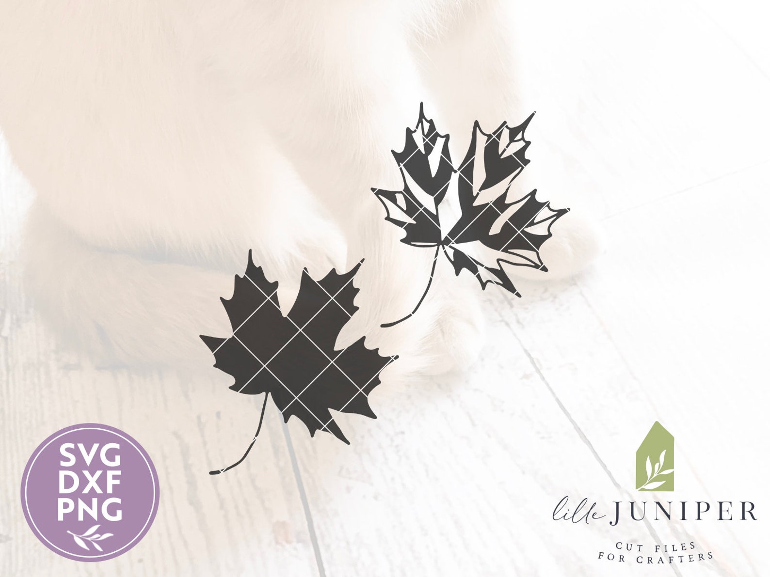 SVG Files Maple Leaf SVG Fall Sign Svg Autumn Svg | Etsy